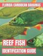 Reef Fish Identification Guide - Preview
