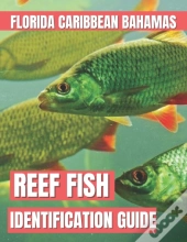Reef Fish Identification Guide
