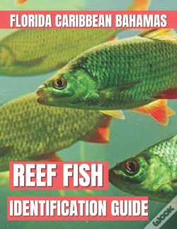 Capa do artigo Reef Fish Identification Guide
