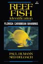 Reef Fish Identification - Preview