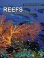 Reefs - Preview