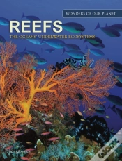 Capa do artigo Reefs