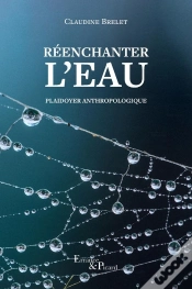 Capa do artigo Réenchanter L