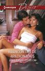 Reencontro De Apaixonados - Preview