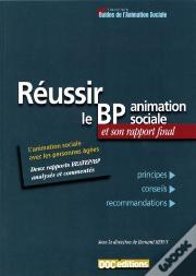 Rééussir Le Bp Animation Sociale Et Son Rapport Final ; L'Animation Avec Les Personnes Âgées, Deux Rapports Beatp-Bp Analysés Et Commentés ; Principes, Conseils, Recommandations