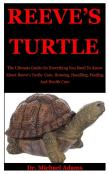 Reeve'S Turtle