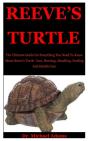 Reeve'S Turtle - Preview