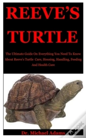 Reeve'S Turtle