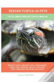 Capa do artigo Reeves Turtle As Pets