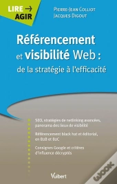 Referencement Et Visibilite Web De La Strategie A L'Efficacite