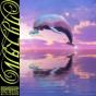 Reflection Overdrive - Vinil - Preview