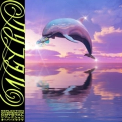 Capa do artigo Reflection Overdrive - Vinil