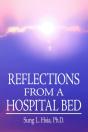 Reflections From A Hospital Bed - Preview