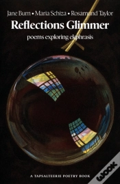 Capa do artigo Reflections Glimmer