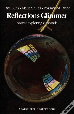 Capa do artigo Reflections Glimmer