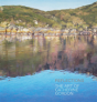 Reflections - Preview
