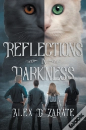 Reflections In Darkness