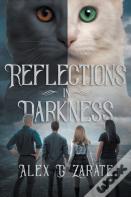 Reflections In Darkness