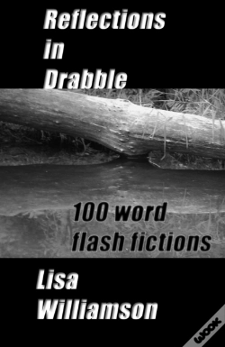 Capa do artigo Reflections In Drabble
