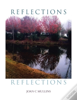 Capa do artigo Reflections