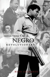 Reflections Of A Negro Revolutionary