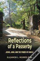 Reflections Of A Passerby