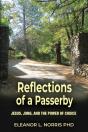 Reflections Of A Passerby - Preview