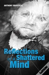 Capa do artigo Reflections Of A Shattered Mind