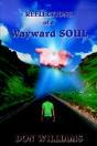 Reflections Of A Wayward Soul - Preview