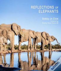Reflections Of Elephants