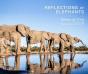Reflections Of Elephants - Preview