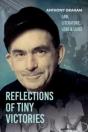 Reflections Of Tiny Victories - Preview