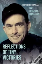 Reflections Of Tiny Victories
