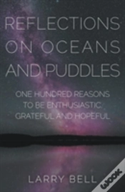 Capa do artigo Reflections On Oceans And Puddles