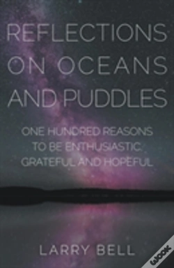 Capa do artigo Reflections On Oceans And Puddles