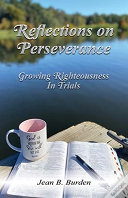 Capa do artigo Reflections On Perseverance