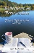 Reflections On Perseverance