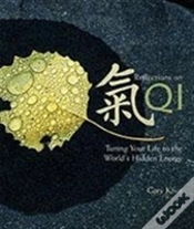 Capa do artigo Reflections On Qi