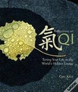 Capa do artigo Reflections On Qi