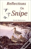 Reflections On Snipe
