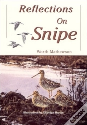Capa do artigo Reflections On Snipe