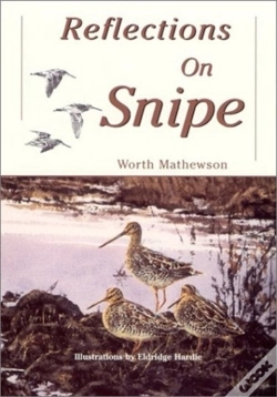 Capa do artigo Reflections On Snipe