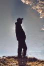 Reflections - Preview