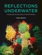 Reflections Underwater - Preview