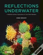 Capa do artigo Reflections Underwater