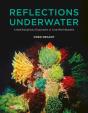 Reflections Underwater - Preview