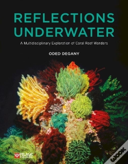 Capa do artigo Reflections Underwater