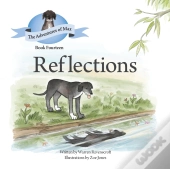 Reflections