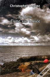 Reflets D'Une Vie Brisée