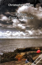 Capa do artigo Reflets D